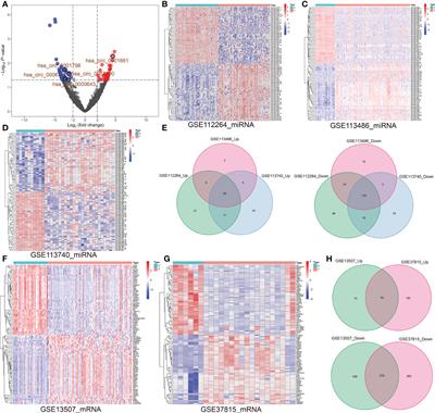 Identification of a dysregulated CircRNA-associated gene signature for predicting prognosis, immune landscape, and drug candidates in bladder cancer